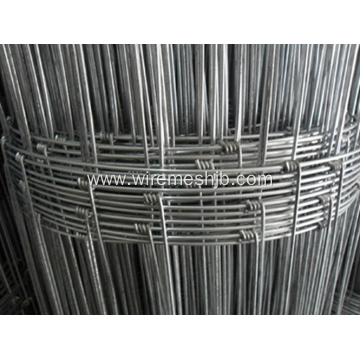Hot-dipped galvanized kraal network field fence